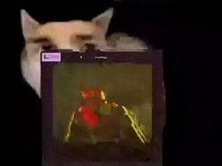 Mimic biast chase theme